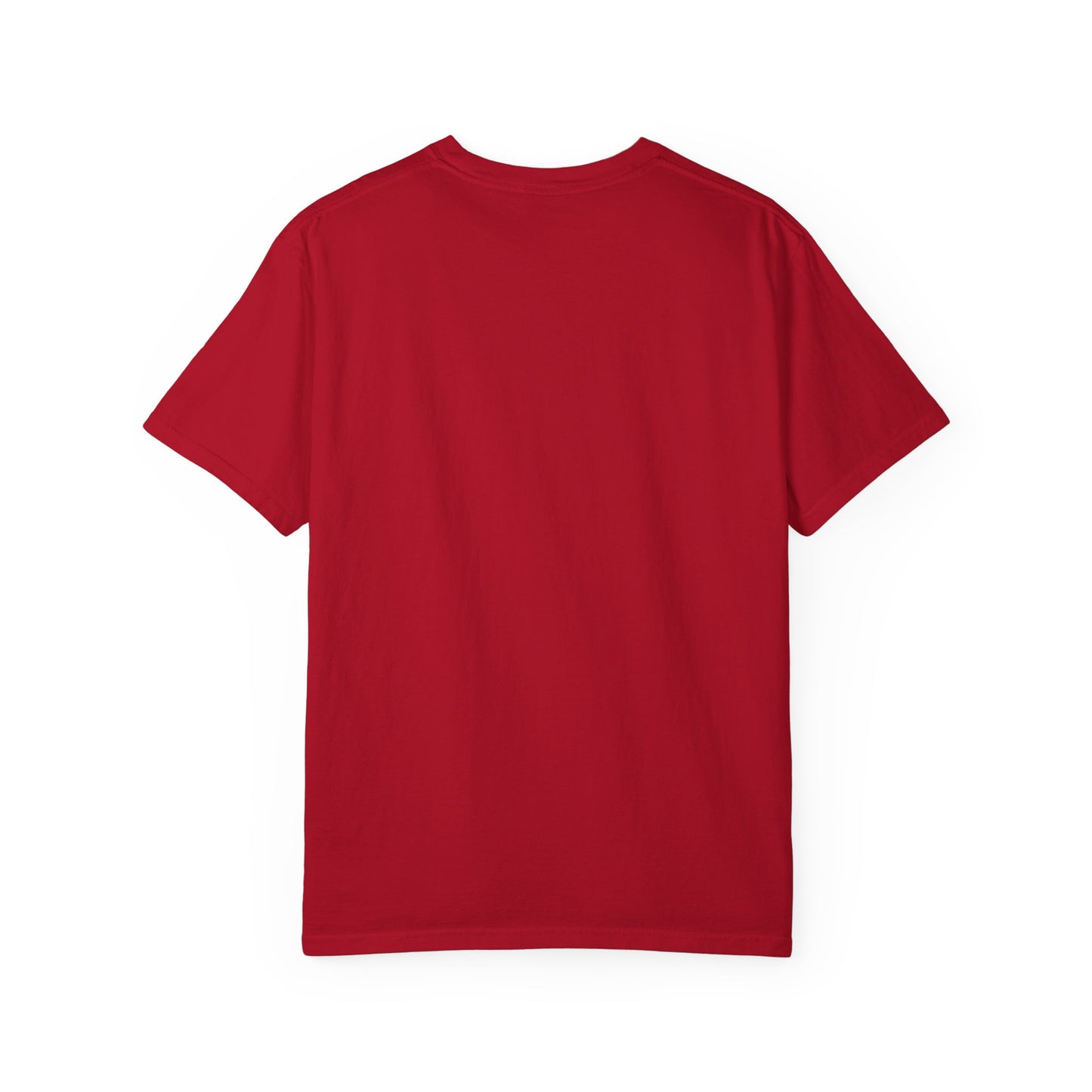USA Unisex T-Shirt