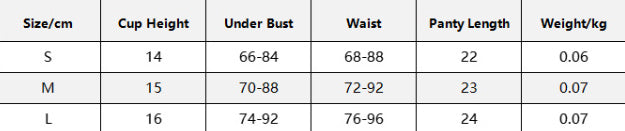 Women's Underwear Briefs Suit